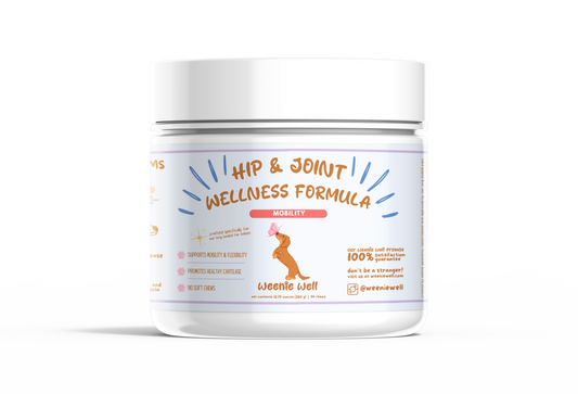 Hip & Joint Wellness Chews - IVDD