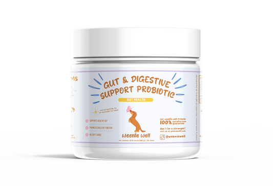 Gut & Digestive Support Probiotic Chews